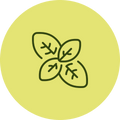 Basil
